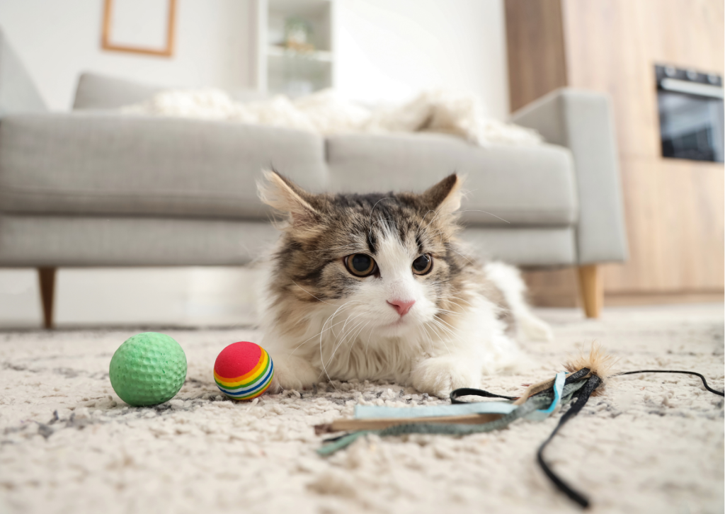 犬や猫が痩せてきた…原因は？｜体重減少で疑うべき病気と受診のタイミング