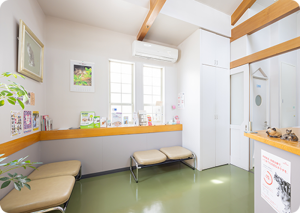 <img src="dog-waiting-room.jpg" alt="猫専用受付・待合室。ベージュのベンチが並び、明るく清潔感のある空間で、猫と飼い主様が落ち着いて過ごせる待合室">