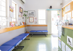 <img src="dog-waiting-room.jpg" alt="犬専用受付・待合室。青いベンチが並び、明るく清潔感のある空間で、犬と飼い主様が落ち着いて過ごせる待合室">