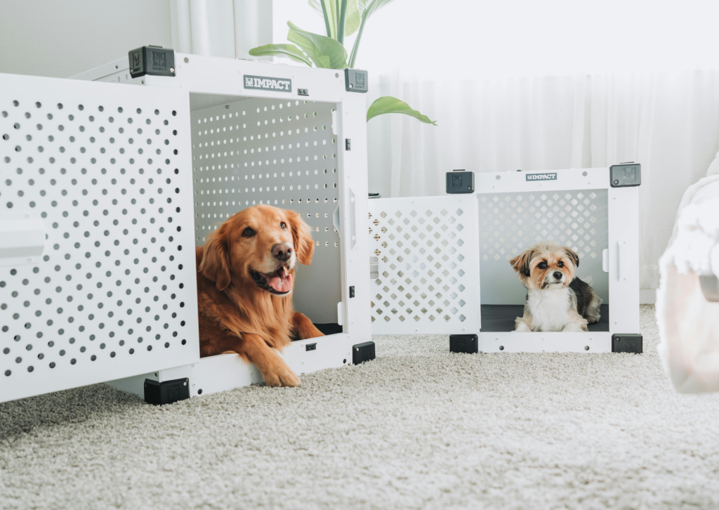 犬や猫の災害対策ガイド｜防災グッズや避難の備えをわかりやすく解説