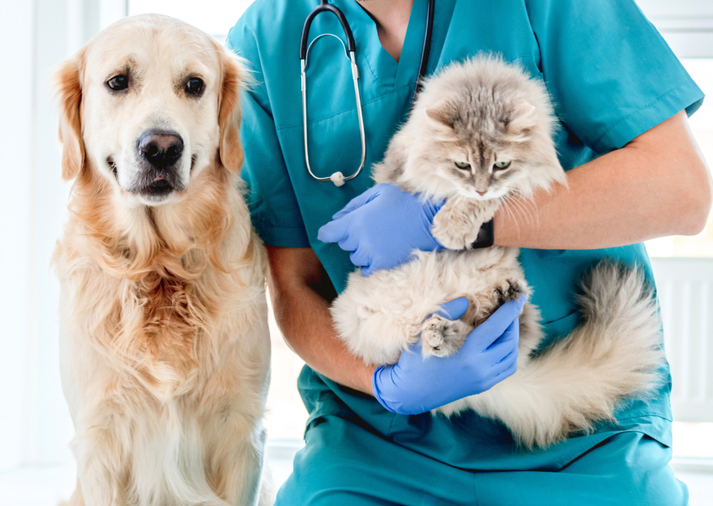 犬や猫の内視鏡検査｜検査が必要になるケースやできる処置とは？